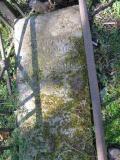 image of grave number 551875